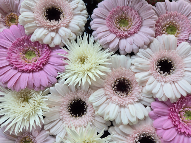 花